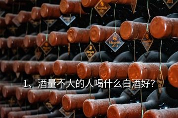 1、酒量不大的人喝什么白酒好？