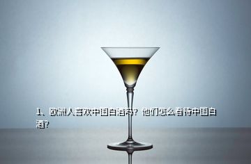 1、欧洲人喜欢中国白酒吗？他们怎么看待中国白酒？