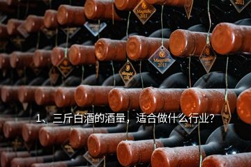 1、三斤白酒的酒量，适合做什么行业？