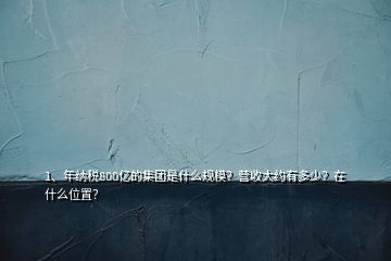 1、年纳税800亿的集团是什么规模？营收大约有多少？在什么位置？