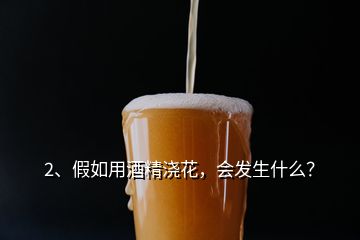 2、假如用酒精浇花，会发生什么？