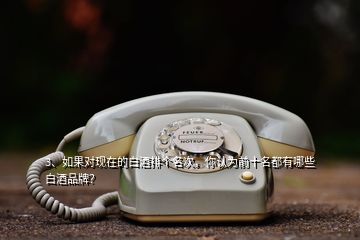 3、如果对现在的白酒排个名次，你认为前十名都有哪些白酒品牌？