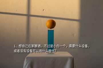 1、想自己在家酿酒，不过是小白一个，需要什么设备，或者没有设备可以用什么替代？