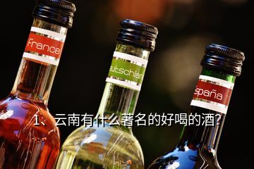 1、云南有什么著名的好喝的酒？