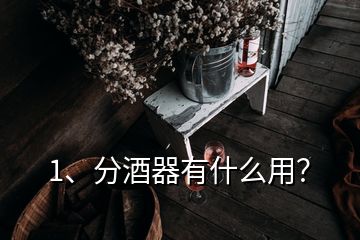 1、分酒器有什么用？