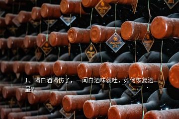 1、喝白酒喝伤了，一闻白酒味就吐，如何恢复酒量？