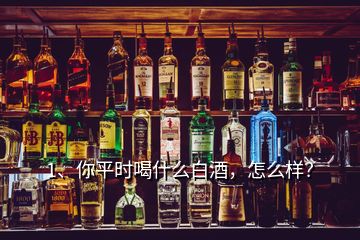 1、你平时喝什么白酒，怎么样？