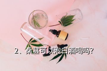 2、桑葚可以泡白酒喝吗？