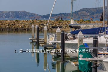 1、第一次喝醉酒是在什么情况下，还记得什么感觉吗？