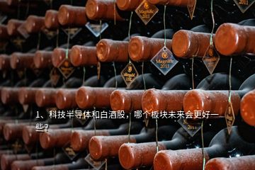 1、科技半导体和白酒股，哪个板块未来会更好一些？