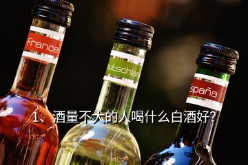 1、酒量不大的人喝什么白酒好？