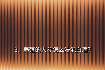 3、养殖的人参怎么浸泡白酒？