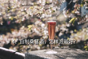 4、自制桑葚酒，怎样泡最好？