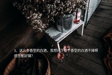 3、这么多香型的白酒，我想问下哪个香型的白酒不辣啊感觉都好辣？