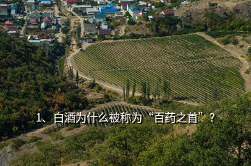 1、白酒为什么被称为“百药之首”？