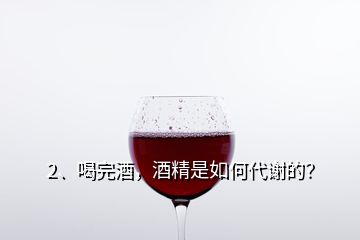 2、喝完酒，酒精是如何代谢的？