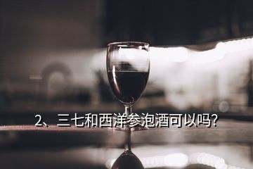 2、三七和西洋参泡酒可以吗？