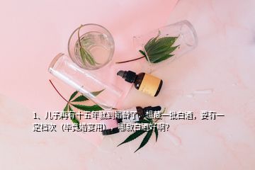 1、儿子再有十五年就到婚龄了，想藏一批白酒，要有一定档次（毕竟婚宴用），哪款白酒好啊？