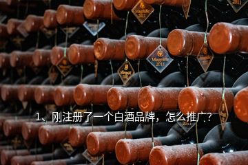 1、刚注册了一个白酒品牌，怎么推广？