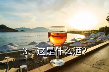 3、这是什么酒？