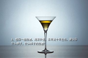 3、想存一瓶白酒，用来升值，五年到十年左右，建议存什么牌子，什么样子的白酒？