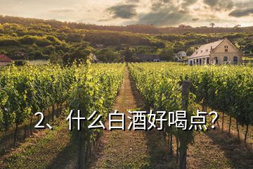 2、什么白酒好喝点？