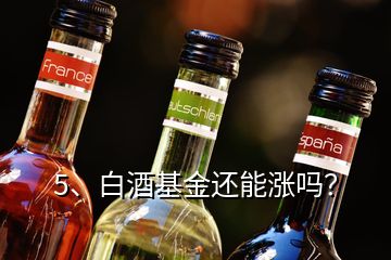 5、白酒基金还能涨吗？