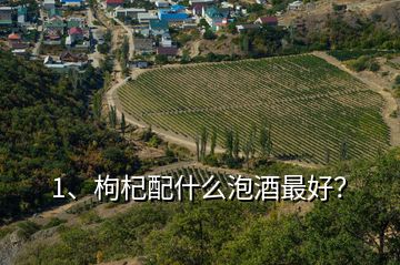 1、枸杞配什么泡酒最好？