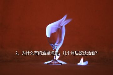 2、为什么有的酒里泡蛇，几个月后蛇还活着？