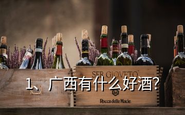 1、广西有什么好酒？