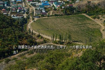 1、我要怎么才能把酒卖出去。三年了，一斤都没有卖出去？