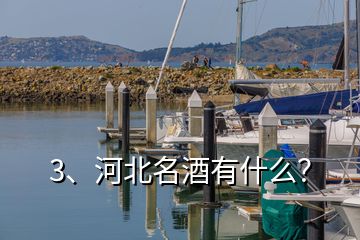 3、河北名酒有什么？