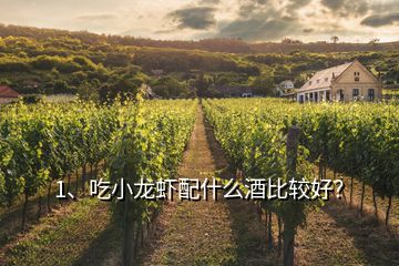 1、吃小龙虾配什么酒比较好？