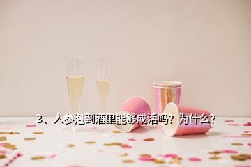 3、人参泡到酒里能够成活吗？为什么？