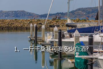 1、一斤干桑葚可泡多少白酒？