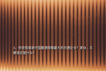 3、你觉得谁是中国酿酒规模最大的白酒企业？茅台、五粮液还是什么？