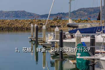 1、花椒、鲜姜、艾叶可以治疗什么？