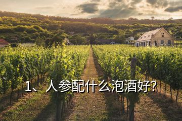 1、人参配什么泡酒好？