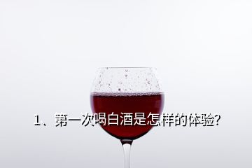 1、第一次喝白酒是怎样的体验？