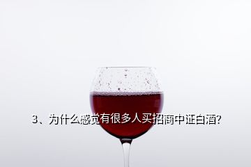 3、为什么感觉有很多人买招商中证白酒？