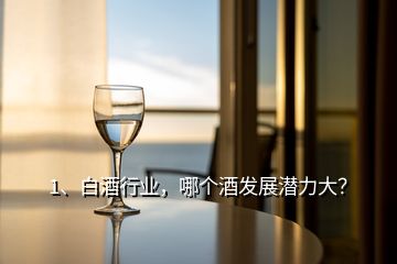 1、白酒行业，哪个酒发展潜力大？