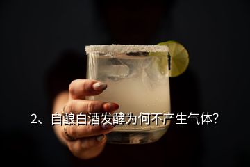 2、自酿白酒发酵为何不产生气体？