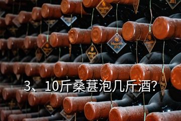 3、10斤桑葚泡几斤酒？