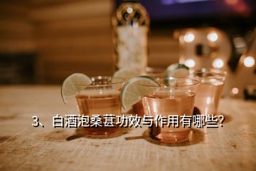 3、白酒泡桑葚功效与作用有哪些？