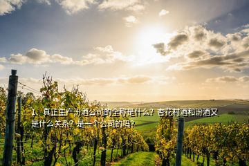 1、真正生产汾酒公司的全称是什么？杏花村酒和汾酒又是什么关系？是一个公司的吗？