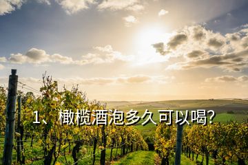 1、橄榄酒泡多久可以喝？