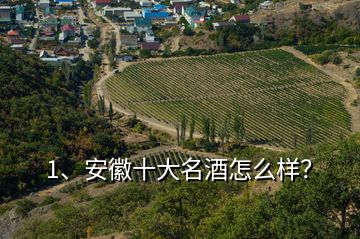 1、安徽十大名酒怎么样？