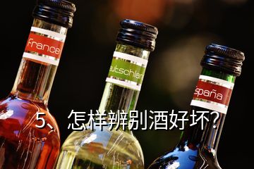 5、怎样辨别酒好坏？