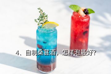 4、自制桑葚酒，怎样泡最好？