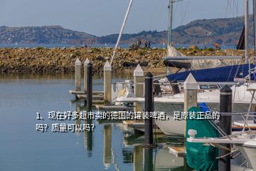 1、现在好多超市卖的德国的罐装啤酒，是原装正品的吗？质量可以吗？